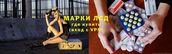 хмурый Арсеньев