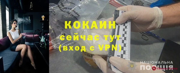 хмурый Арсеньев