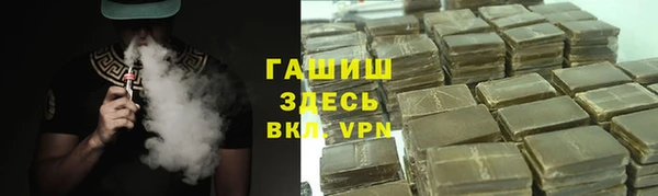 хмурый Арсеньев
