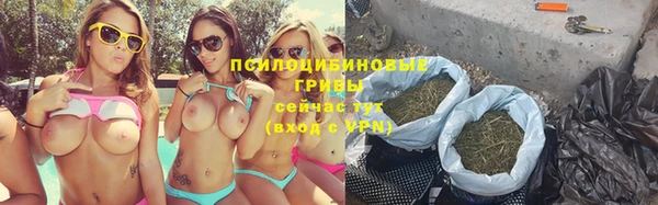 гидропоника Аркадак
