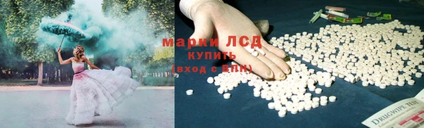 хмурый Арсеньев