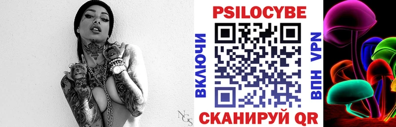 Галлюциногенные грибы Psilocybe  дарк нет какой сайт  Приморск 